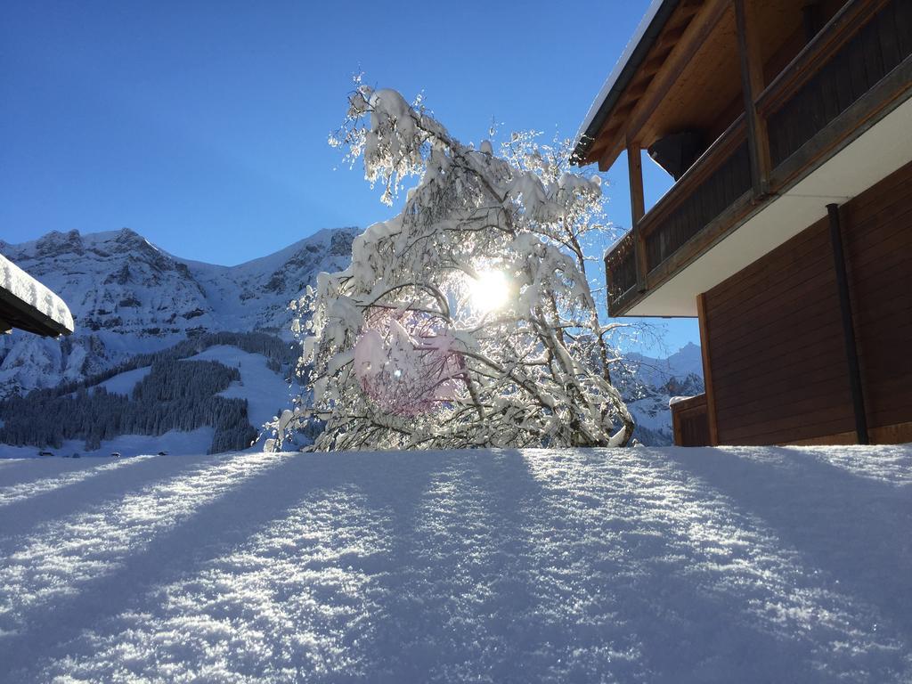 Hotel Steinmattli Adelboden Eksteriør billede
