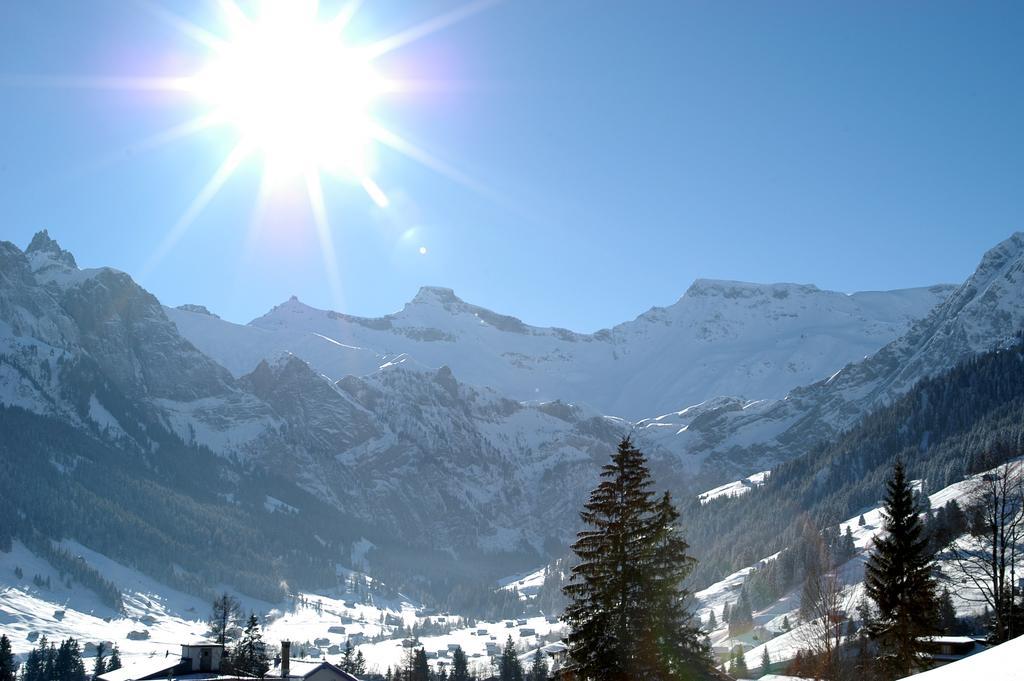 Hotel Steinmattli Adelboden Eksteriør billede