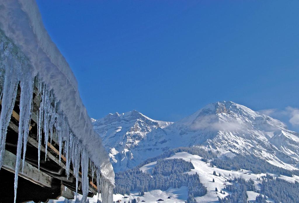 Hotel Steinmattli Adelboden Eksteriør billede