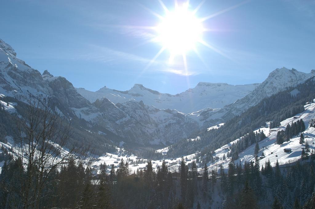 Hotel Steinmattli Adelboden Eksteriør billede