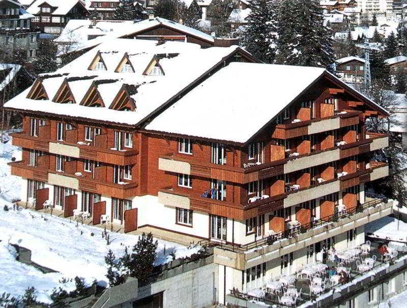 Hotel Steinmattli Adelboden Eksteriør billede
